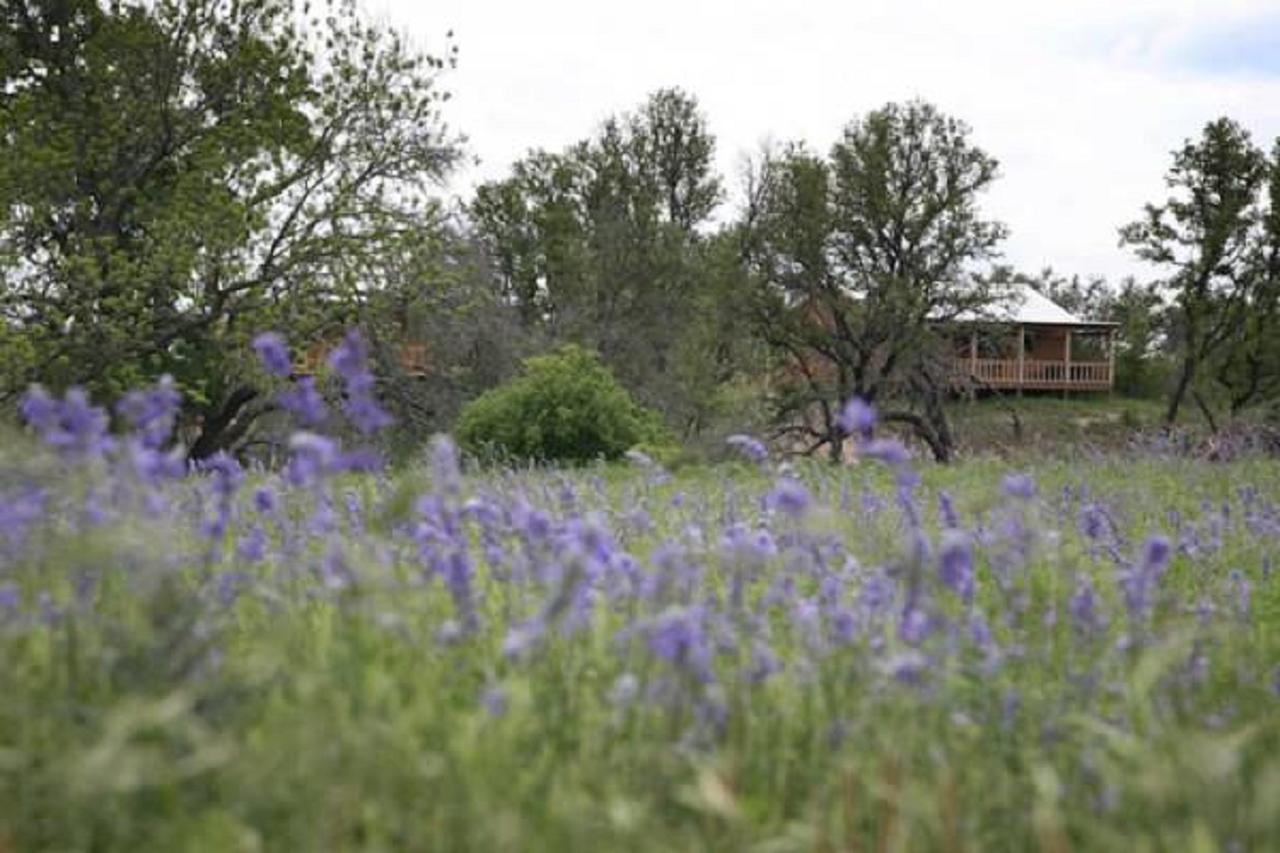 City On A Hill At Spring Creek Fredericksburg Exterior foto