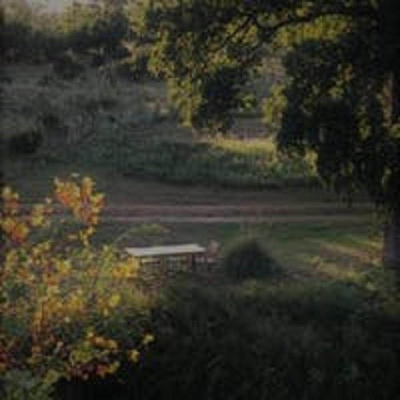 City On A Hill At Spring Creek Fredericksburg Exterior foto