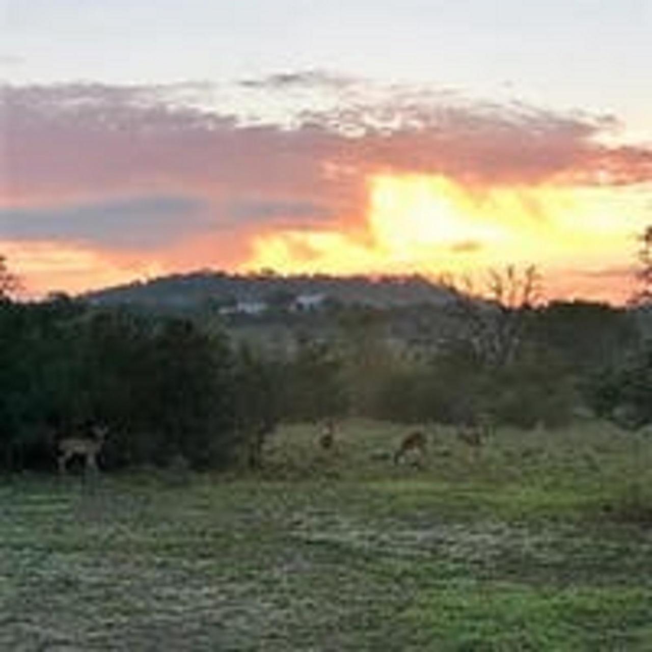 City On A Hill At Spring Creek Fredericksburg Exterior foto